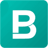 Bigpicture.io
